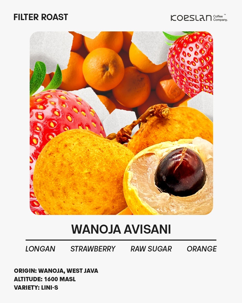 Wanoja Avisani CM Natural