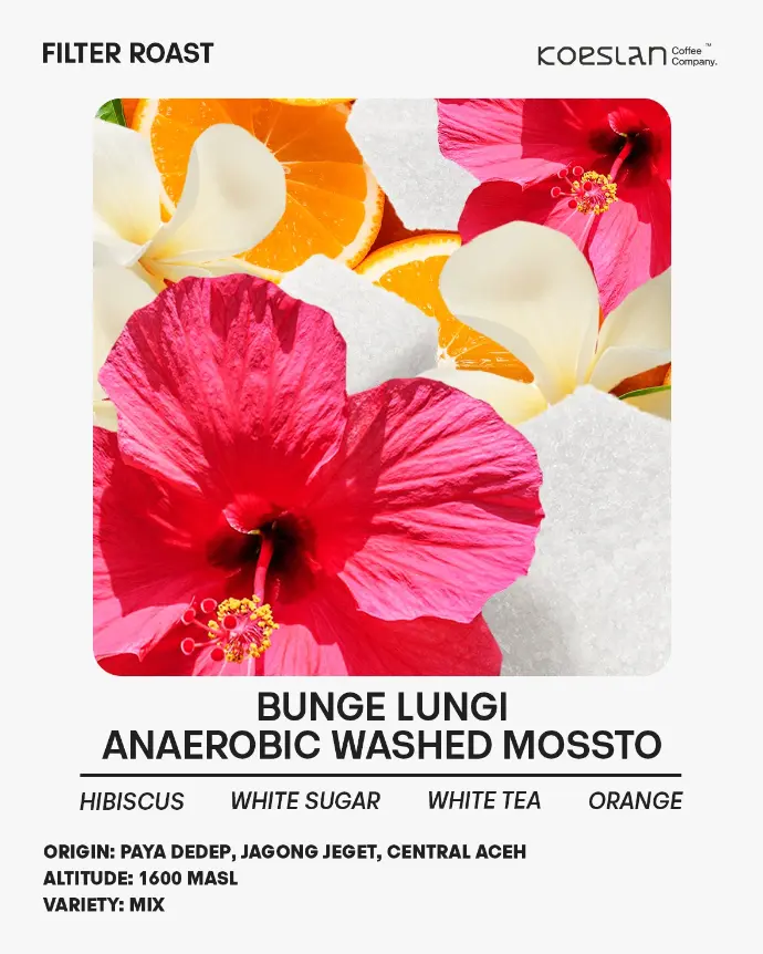 Bungelungi Mossto Wash