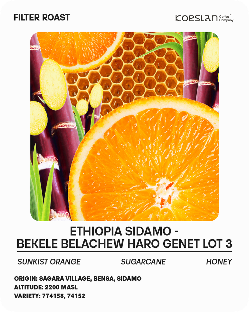 Ethiopia Genet Lot.3