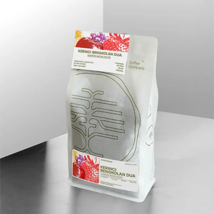 KERINCI BENGKOLAN DUA 